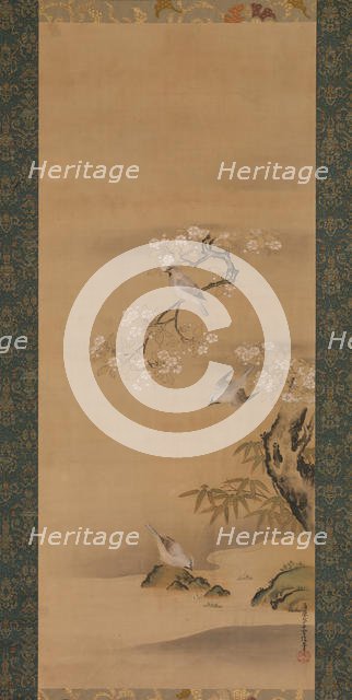 Waxwings, Cherry Blossoms, and Bamboo, late 17th century. Creator: Kiyohara Yukinobu.