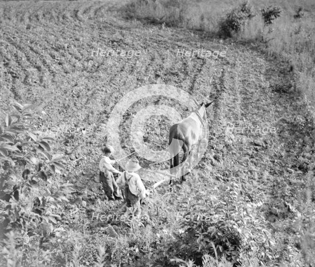 The older brother teaches the younger on a farm in the Piedmont, North Carolina, 1936. Creator: Dorothea Lange.