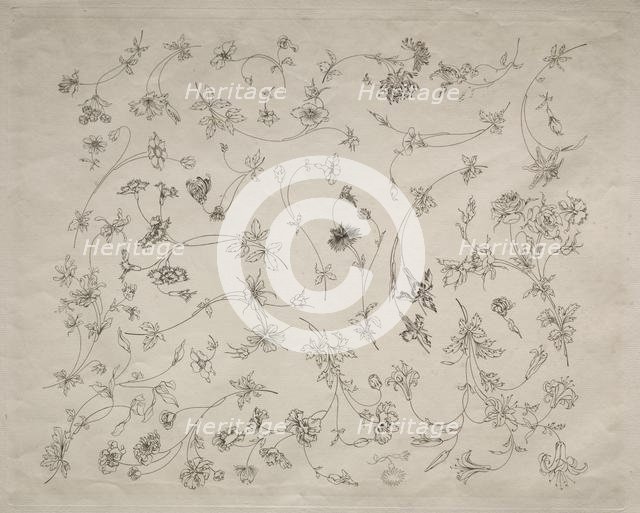 Flower designs for plates and borders (no. 14), 1872. Creator: Félix Bracquemond (French, 1833-1914).