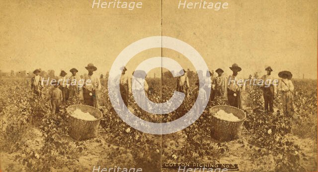 Cotton picking no. 3. [Group posing in the field with bale of cotton in foreground], (1868-1900?). Creator: O. Pierre Havens.