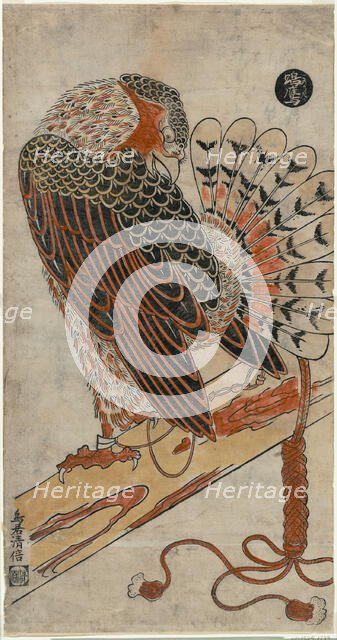 Sparrowhawk (Konori taka), c. 1716. Creator: Torii Kiyomasu I.