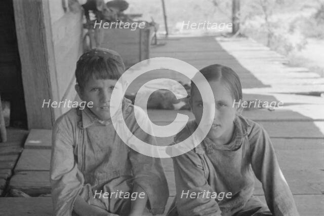 Tengle boys, Hale County, Alabama, 1936. Creator: Walker Evans.