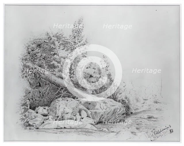 Fallen Tree, Keene Valley, July 25, 1883. Creator: Louis Michel Eilshemius.