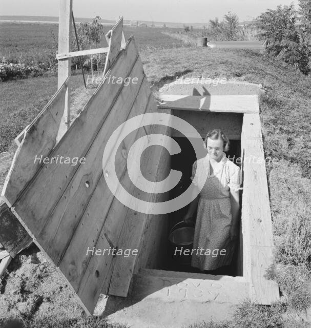 Mrs. Botner's storage cellar on Botner farm, Nyssa Heights, Malheur County, Oregon, 1939. Creator: Dorothea Lange.
