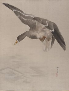 Duck, ca. 1887. Creator: Watanabe Seitei.