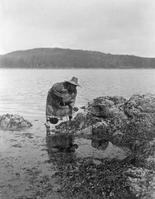 Gathering abalones-Nakoaktok, c1910. Creator: Edward Sheriff Curtis.