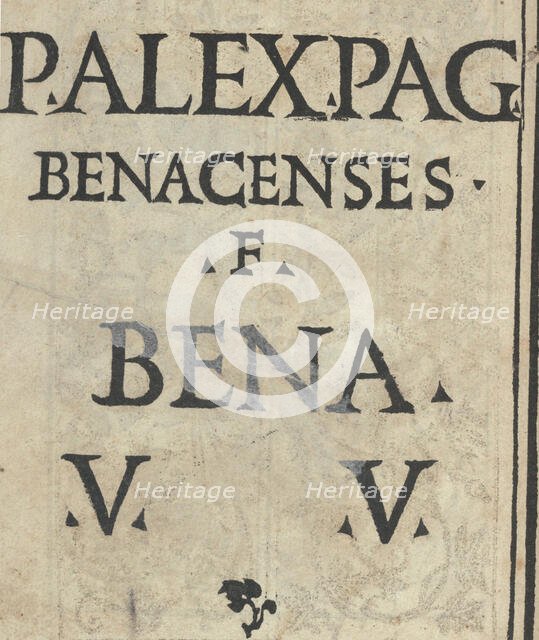 Libro quarto. De rechami per elquale se impara in diuersi modi lordine e il modo de re..., ca. 1532. Creator: Alessandro Paganino.