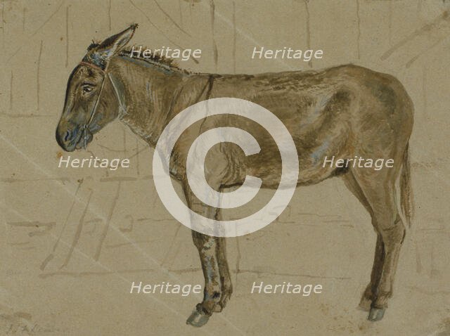 A donkey in a stable, c1814-1830. Creator: John Frederick Lewis.