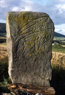 Rhynie-Crawstone, Pictish incised Animals, Aberdeenshire, c5th century-c8th century. Artist: Unknown.