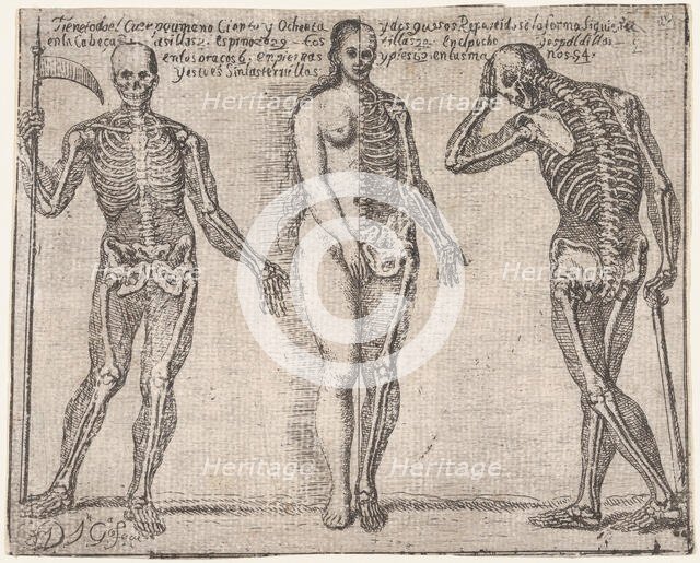 Studies of three skeleton, from the 'Principios para estudiar el Nobilísimo y Real art..., ca. 1693. Creator: José García Hidalgo.