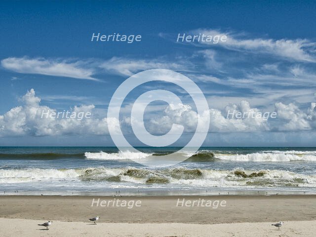 Perfect Day. Creator: Eve Turek.