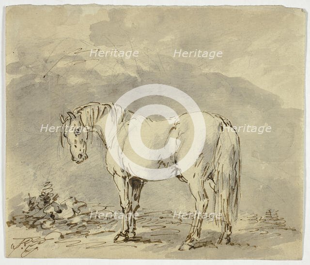 Standing Horse with Head Turned, n.d. Creator: Sawrey Gilpin.