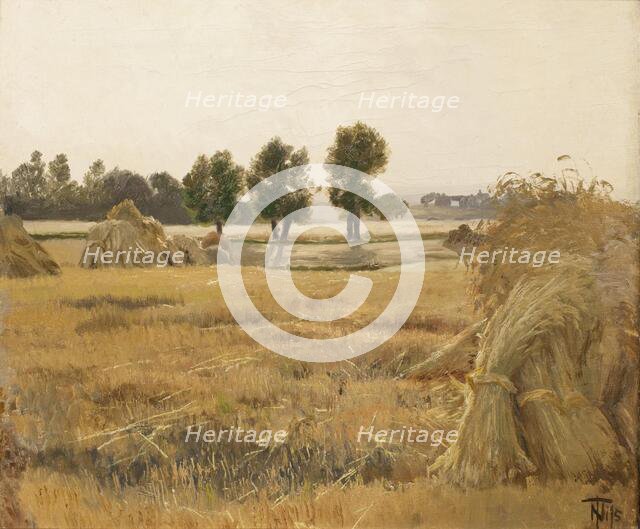 Field with sheaves of grain, 1857-1905. Creator: Thorvald Niss.