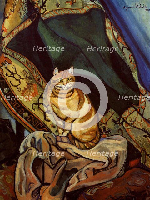 Le chat Raminou assis sur un tissu (Cat Raminou sitting on a cloth), 1920. Creator: Valadon, Suzanne (1865-1938).