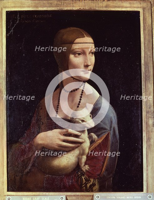 Lady with a stoat', by Leonardo da Vinci.