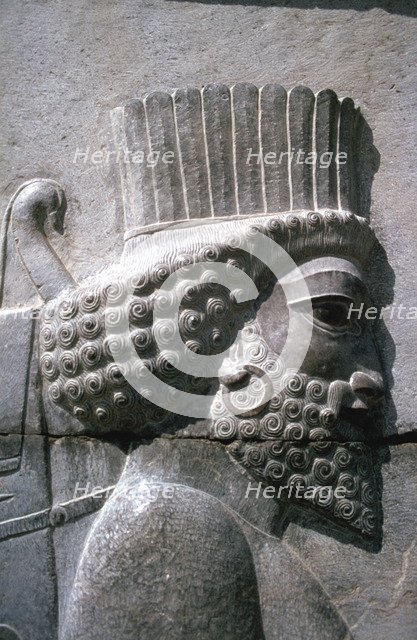 Relief of a Persian man, the Apadana, Persepolis, Iran