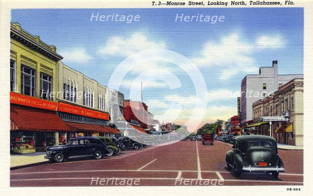 Monroe Street, looking north, Tallahassee, Florida, USA. Artist: Unknown
