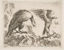 Plate 2: eagle and eaglet, from 'Various animals' (Diversi animali), ca. 1641. Creator: Stefano della Bella.