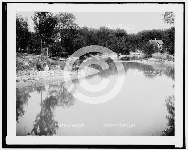 Palmer Park, the canal, between 1880 and 1899. Creator: Unknown.