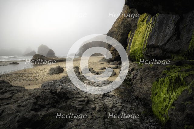 Oregon Coast. Creator: Joshua Johnston.