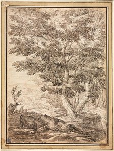 Landscape with Clump of Trees, 17th century. Creator: Unknown.