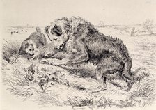 Dogs Worrying a Frog, c1860. Creator: Edwin Henry Landseer.