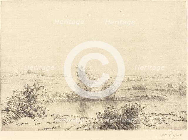 Marsh (Les marais). Creator: Alphonse Legros.