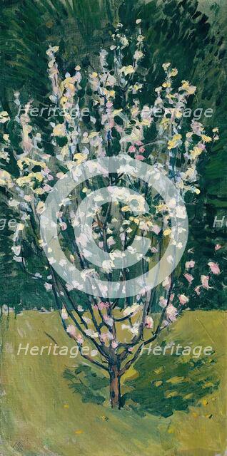 Blooming small tree, 1913. Creator: Koloman Moser.