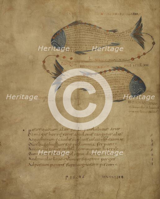 Illustration of the constellation Pisces, c820-840.  Creator: Unknown.