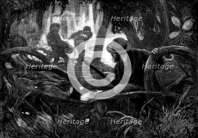 "Among the Mangroves" - drawn by V. W. Bromley, 1873. Creator: Henry Linton.