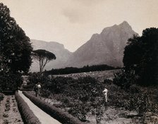 South Africa: Cecil Rhodes's garden near Devil's Peak in Johannesburg, 1896. Creator: Unknown.