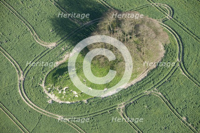 A pair of round barrows on Avebury Down, Wiltshire, 2015. Creator: Historic England.