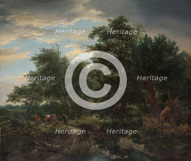 Forest scene, 1653. Creator: Jacob van Ruisdael.