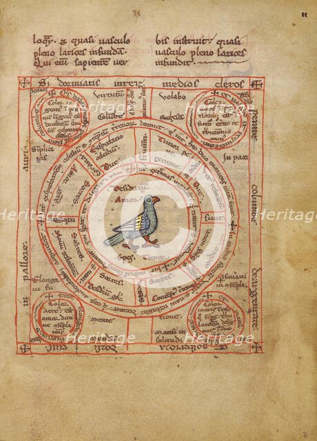 Concerning the Dove; Bestiary, about 1270. Creator: Unknown.