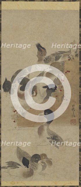 Ducks, Edo period, (18th century?). Creator: Unknown.