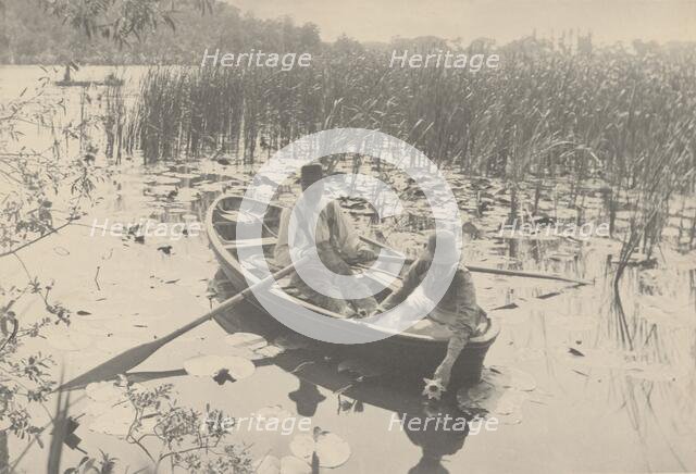 Gathering Water-Lilies, 1886. Creator: Dr Peter Henry Emerson.