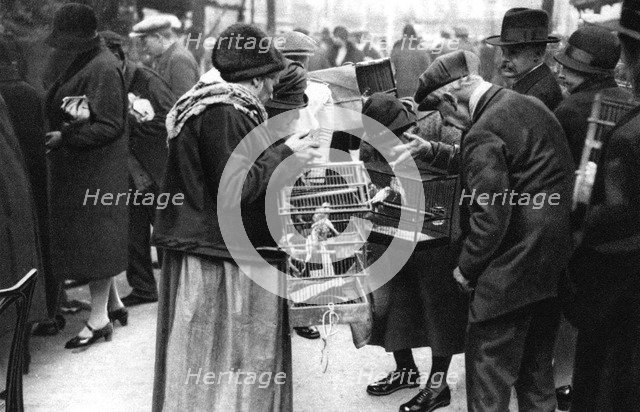 A group of buyers of canaries, Paris, 1931.Artist: Ernest Flammarion