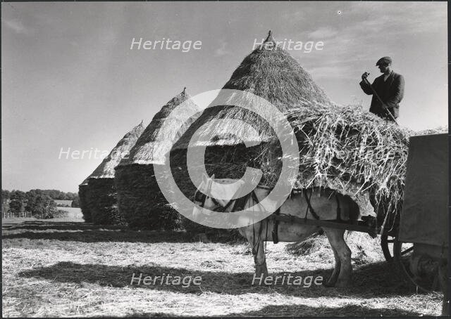 Hayricks, Ashridge Farm, Green End Road, Radnage, Wycombe, Buckinghamshire, 1930s. Creator: J Dixon Scott.