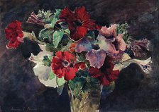 Petunias, c1869-1906, (1906). Artist: Francis Edward James