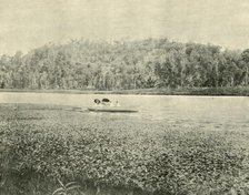 'On the Enoggera Lake', 1901. Creator: Unknown.