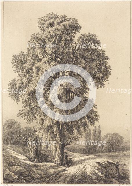 The Elm Tree, 1840. Creator: Eugene Blery.
