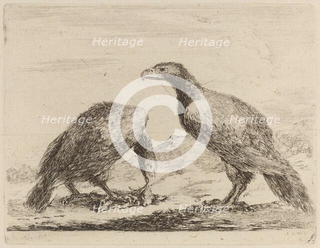 Two Eagles, One Eating a Small Lamb. Creator: Stefano della Bella.