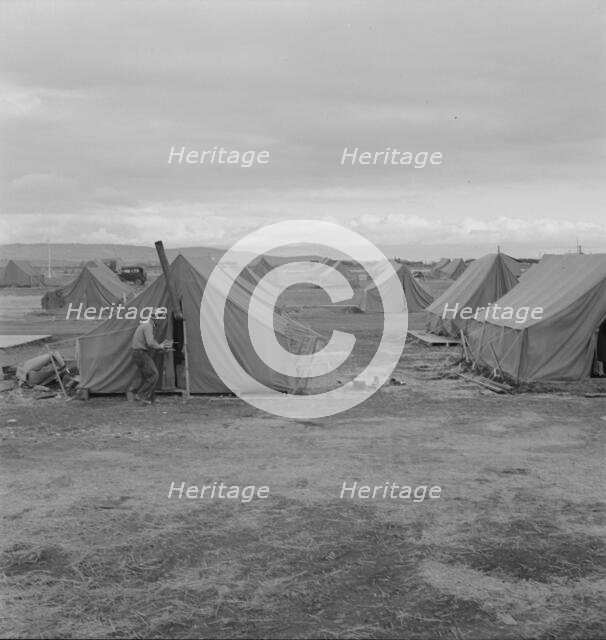 Migrant camp, Merrill, Klamath County, Oregon, 1939. Creator: Dorothea Lange.