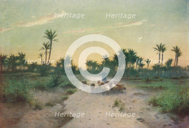 'In the Land of Goshen - Evening', c1880, (1904). Artist: Robert George Talbot Kelly.