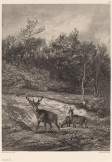 Au bord de l'eau. Creator: Karl Bodmer.