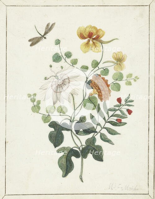 Still Life of Flowers, c.1600-c.1687. Creator: Machtelt Moninckx.