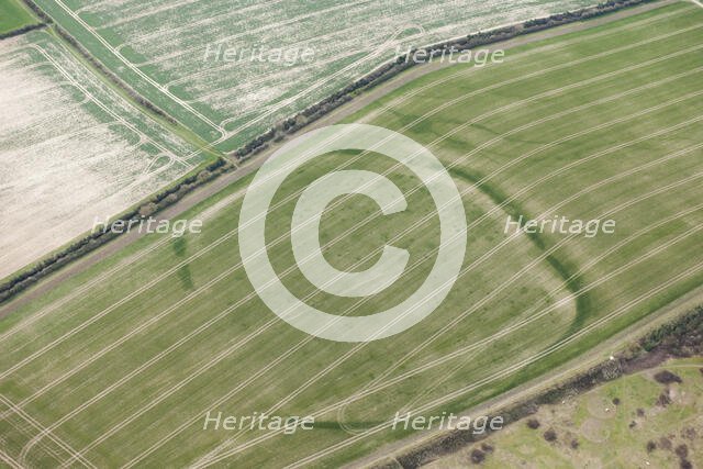 Woodbury Iron Age univallate hillfort crop mark, Salisbury, Wiltshire, 2016. Creator: Damian Grady.