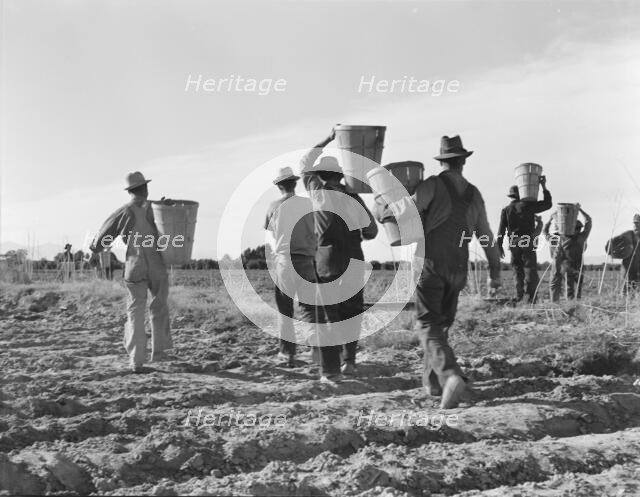 Pea pickers, end of the day, near Calipatria, California, 1939. Creator: Dorothea Lange.