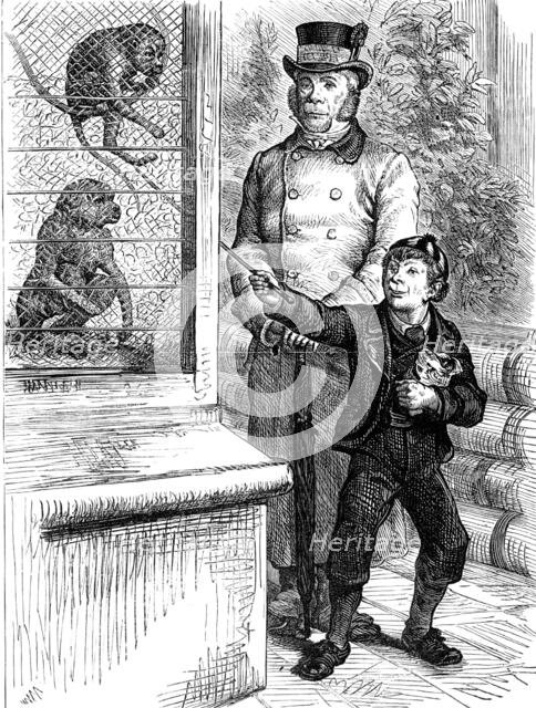 Odd sketches at the Zoological Society's Gardens: the monkeys, 1880. Creator: Unknown.