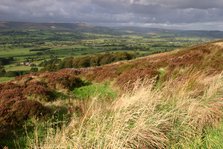 Chipping Vale from Longridge Fell, Lancashire.